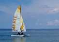 Bali Tropic:   